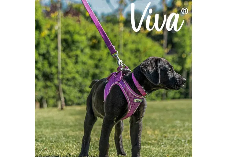 Ancol - Viva Nylon Padded Snap Lead - Red - 100cm x 25mm (Max 75kg)