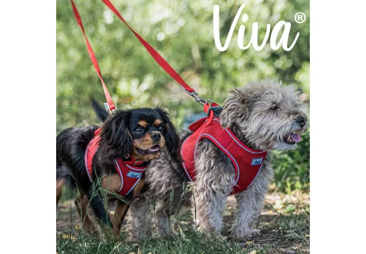Ancol - Viva Nylon Padded Snap Lead - Red - 100cm x 25mm (Max 75kg)